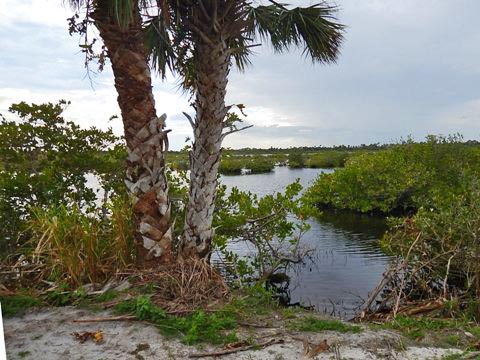 Merritt Island biking, Biolab Road