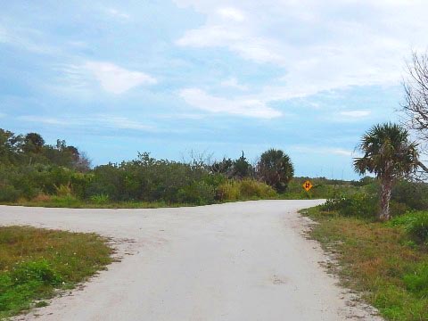 Merritt Island biking, Biolab Road