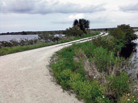 Merritt Island biking-Gator Creek