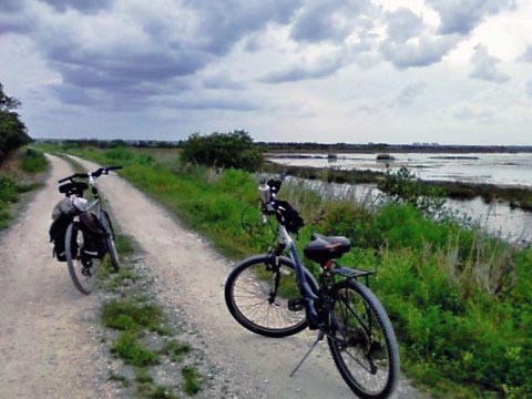 Merritt Island biking-Gator Creek