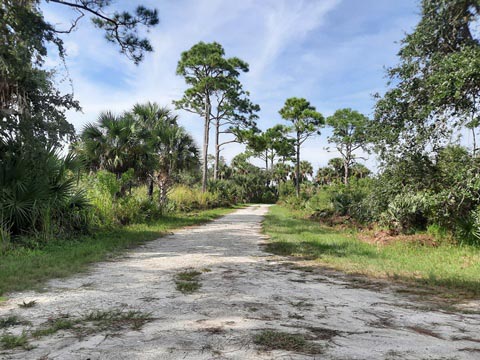 Merritt Island biking-L-Pond Road