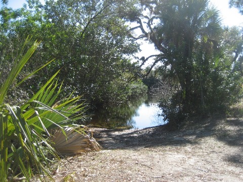 Merritt Island biking-L-Pond Road