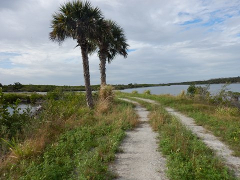 Merritt Island biking-L-Pond Road