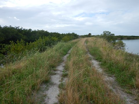 Merritt Island biking-L-Pond Road