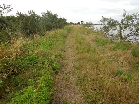 Merritt Island biking-L-Pond Road