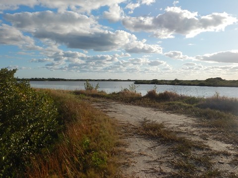 Merritt Island biking-L-Pond Road