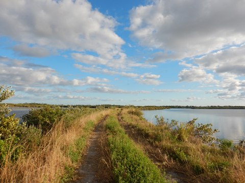 Merritt Island biking-L-Pond Road