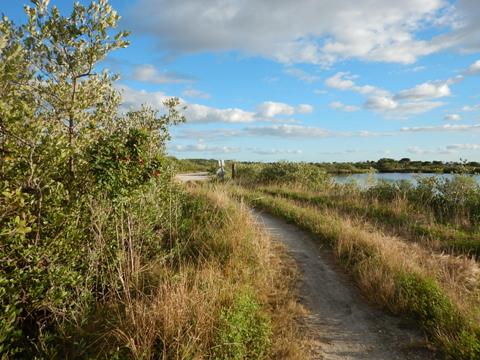 Merritt Island biking-L-Pond Road