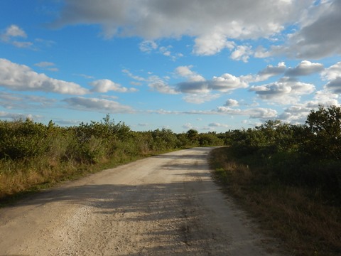 Merritt Island biking-L-Pond Road