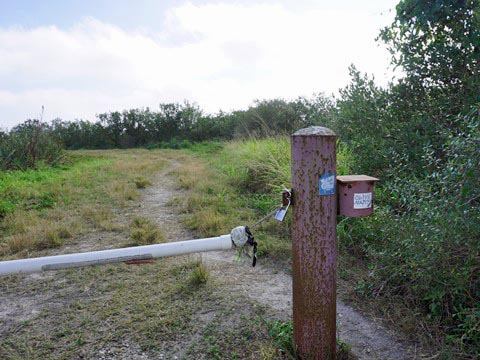 Merritt Island Biking, Shiloh Road