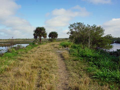 Merritt Island Biking, Shiloh Road