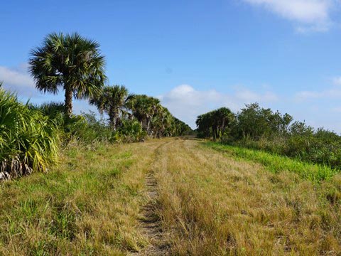 Merritt Island Biking, Shiloh Road