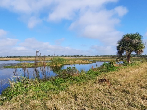 Merritt Island Biking, Shiloh Road