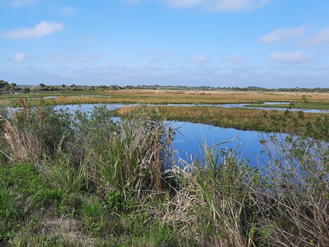 Merritt Island Biking, Shiloh Road