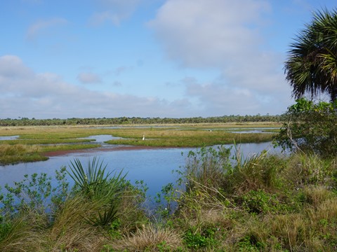 Merritt Island Biking, Shiloh Road