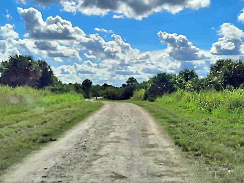 Merritt Island biking, Shiloh Road