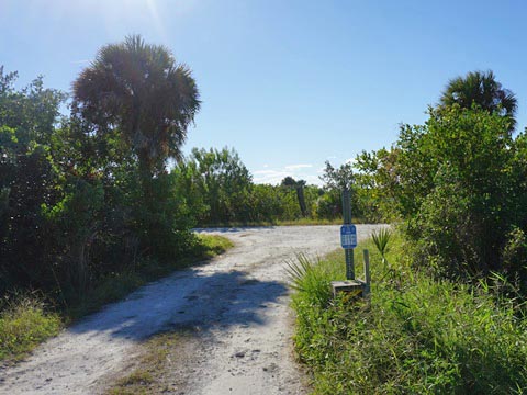 Merritt Island biking, Shiloh Road