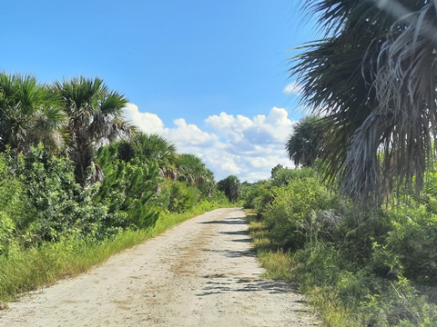 Merritt Island biking, Shiloh Road