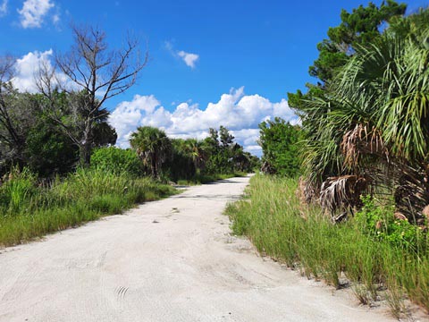 Merritt Island biking, Shiloh Road