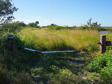 Merritt Island biking, Shiloh Road