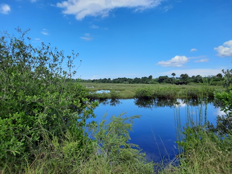 Merritt Island biking, Shiloh Road