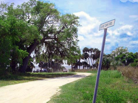 Merritt Island biking, Shiloh Road