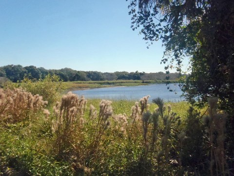 Myakka River State Park