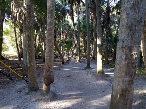 Myakka River State Park, eco-biking