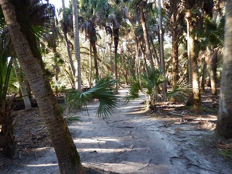 Myakka River State Park, eco-biking