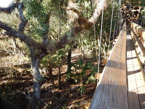 Myakka River State Park, eco-biking