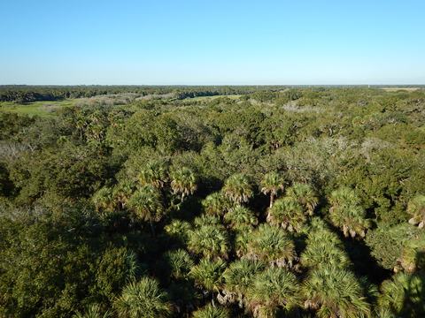 Myakka River State Park, eco-biking