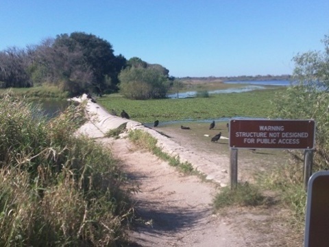 Myakka River State Park, eco-biking