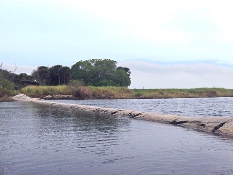 Myakka River State Park, eco-biking