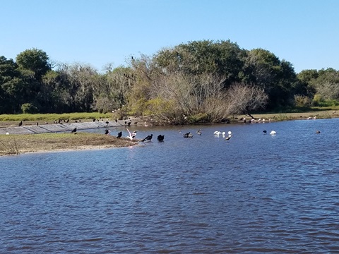 Myakka River State Park, eco-biking