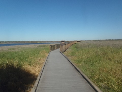 Myakka River State Park, eco-biking