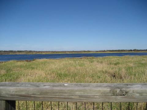 Myakka River State Park, eco-biking