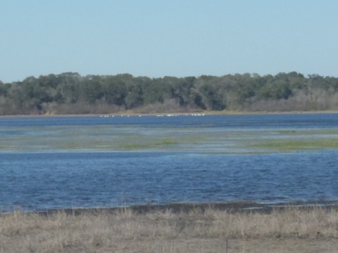 Myakka River State Park, eco-biking