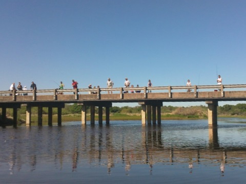 Myakka River State Park, eco-biking