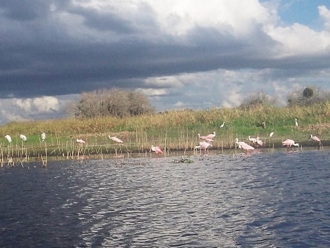 Myakka River State Park, eco-biking