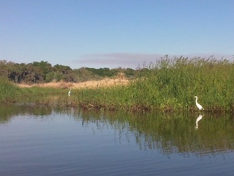 Myakka River State Park, eco-biking