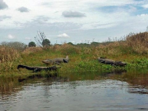 Myakka River State Park, eco-biking