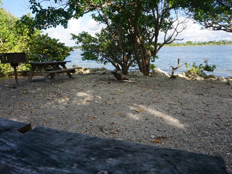 Oleta River State Park