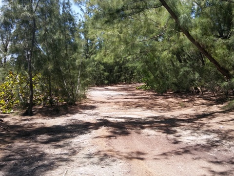 Oleta River State Park