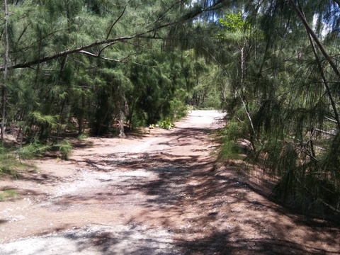 Oleta River State Park