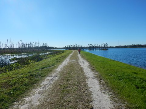 Orlando Wetlands