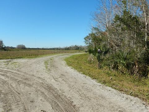 Orlando Wetlands