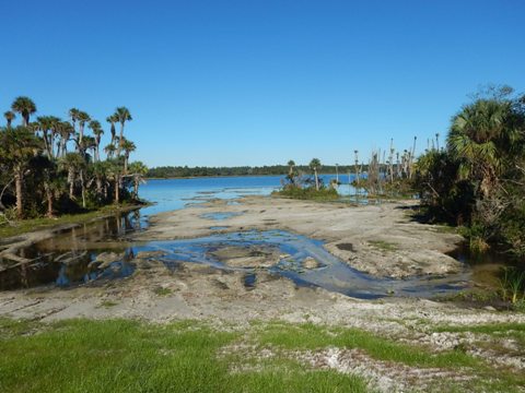 Orlando Wetlands