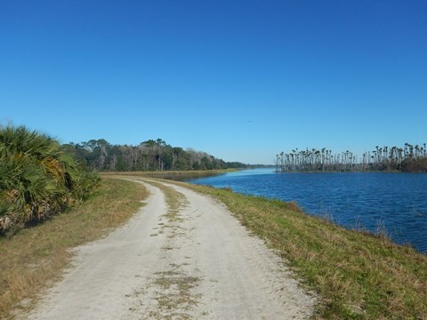 Orlando Wetlands