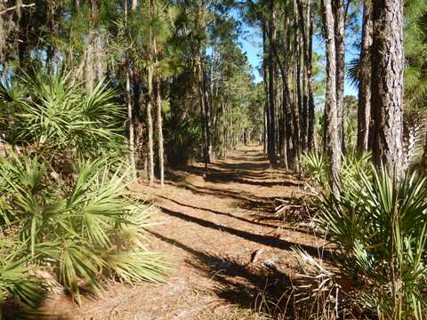 Orlando Wetlands