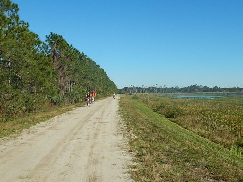 Orlando Wetlands